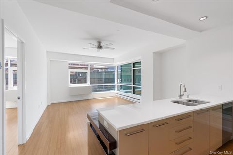 Condo For Rent - 24-15 Queens Plaza #3A<br/> Long Island City, NY 11101