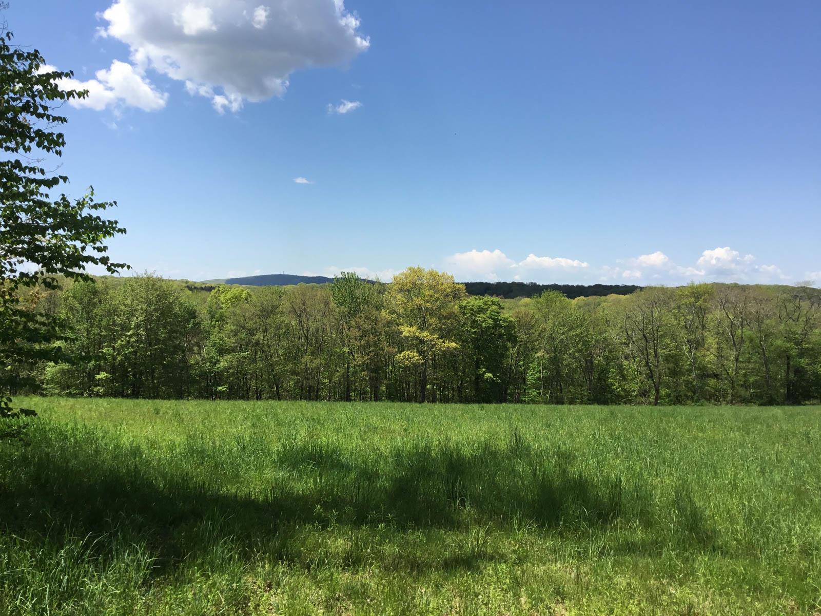Chestnut Ridge Road, Dover Plains, New York image 10