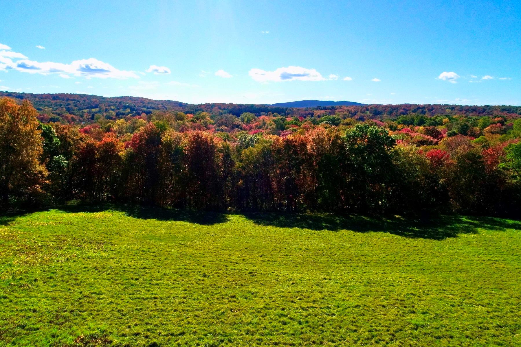 Chestnut Ridge Road, Dover Plains, New York image 12