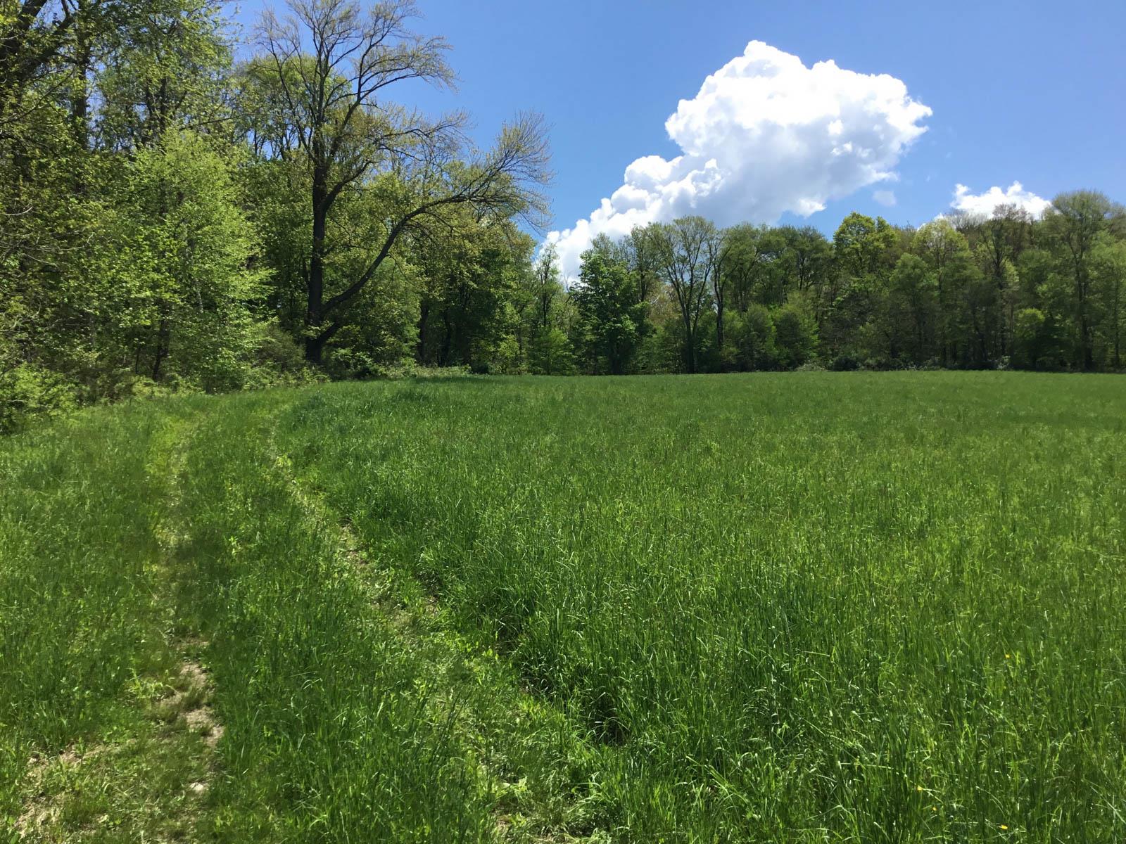 Chestnut Ridge Road, Dover Plains, New York image 6