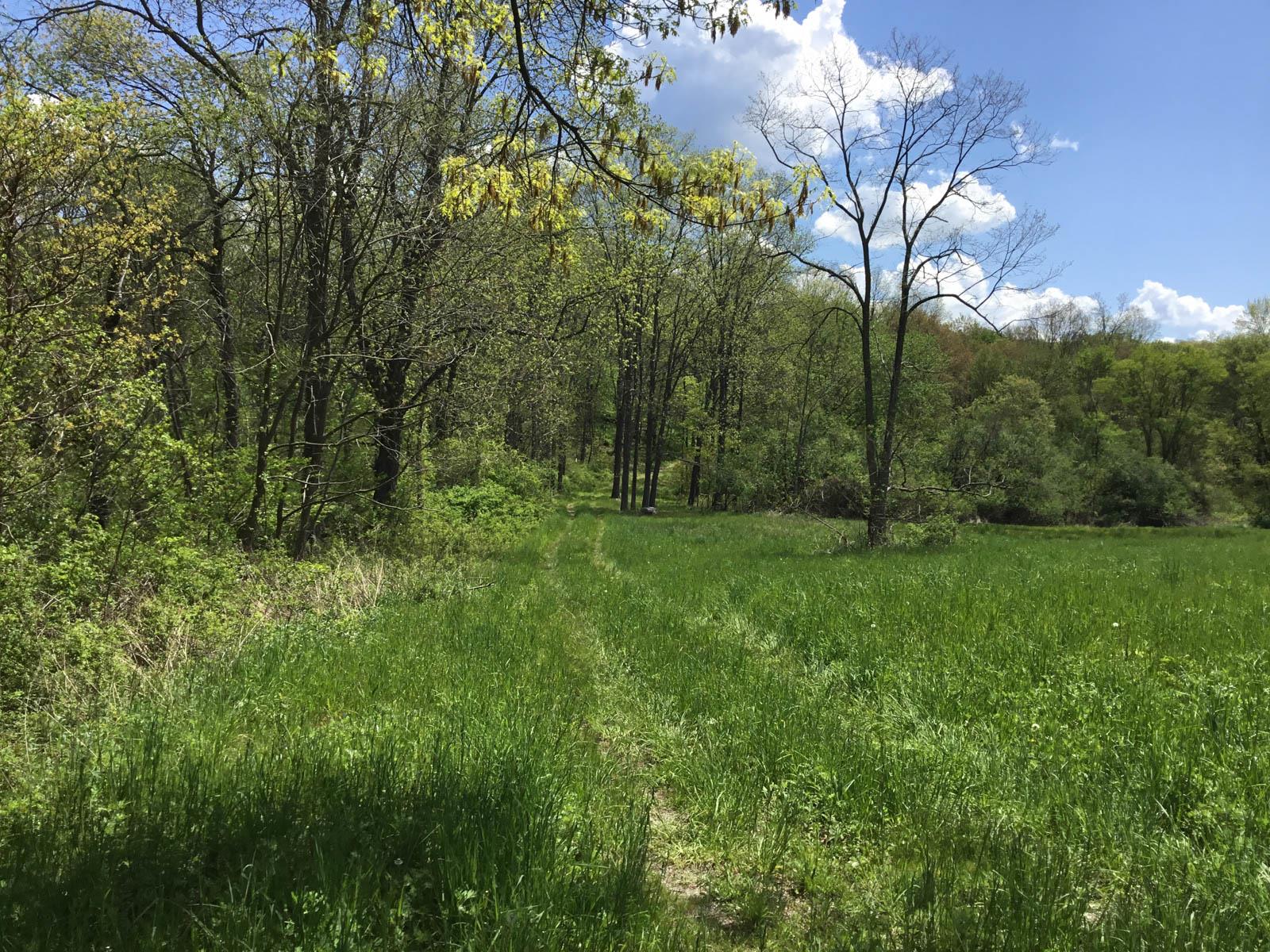 Chestnut Ridge Road, Dover Plains, New York image 2