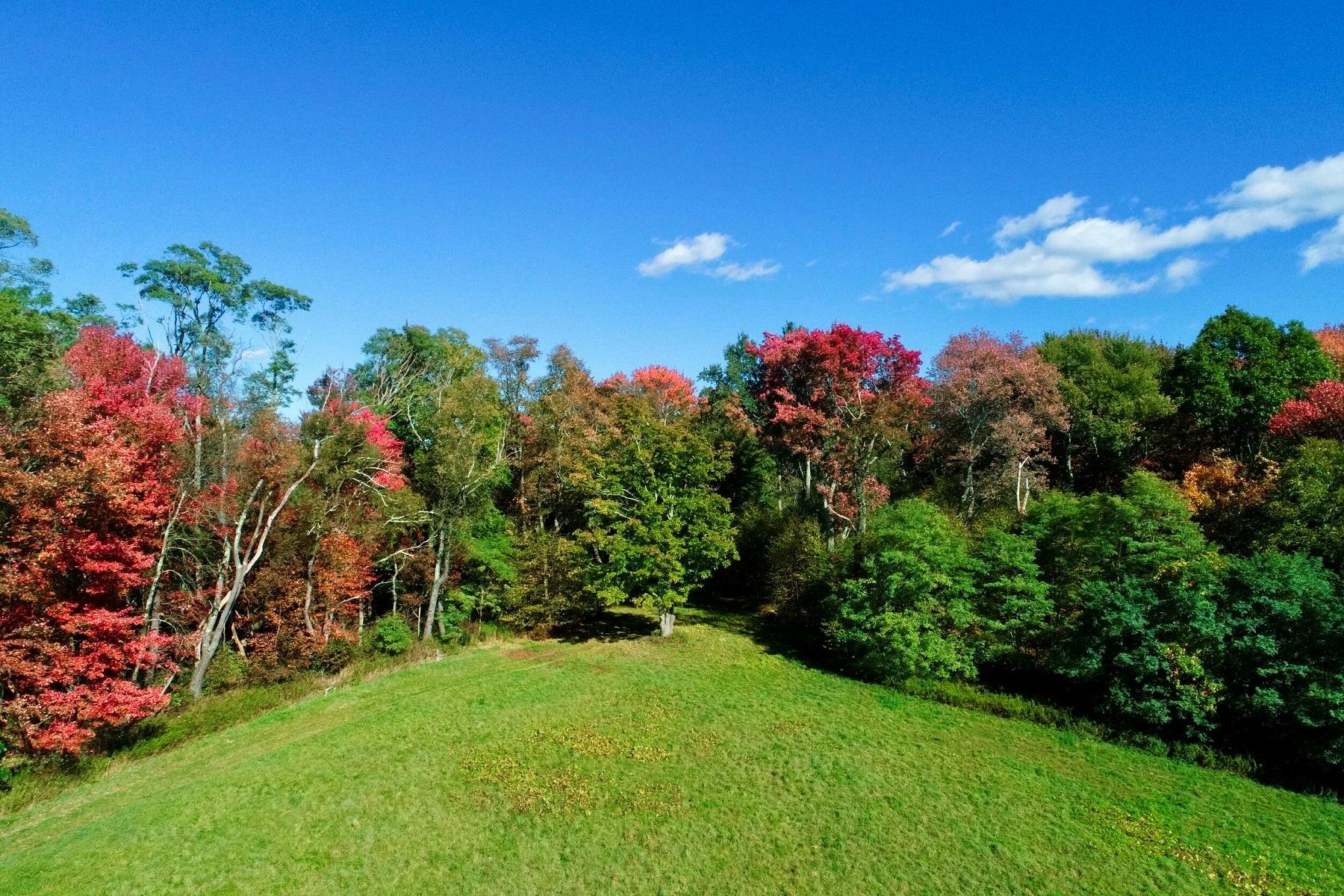 Chestnut Ridge Road, Dover Plains, New York image 13
