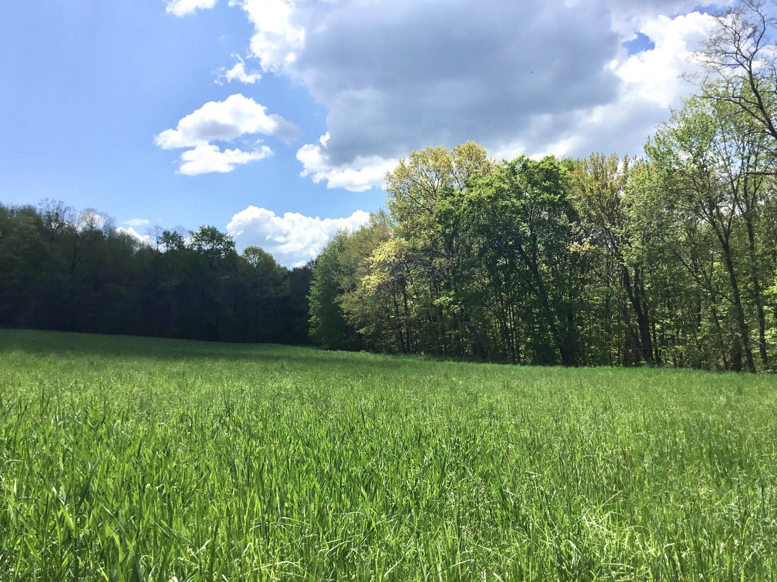 Chestnut Ridge Road, Dover Plains, New York image 11