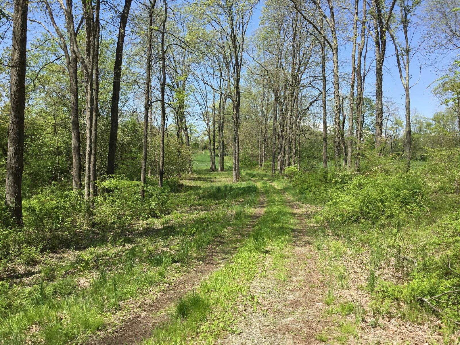 Chestnut Ridge Road, Dover Plains, New York image 4