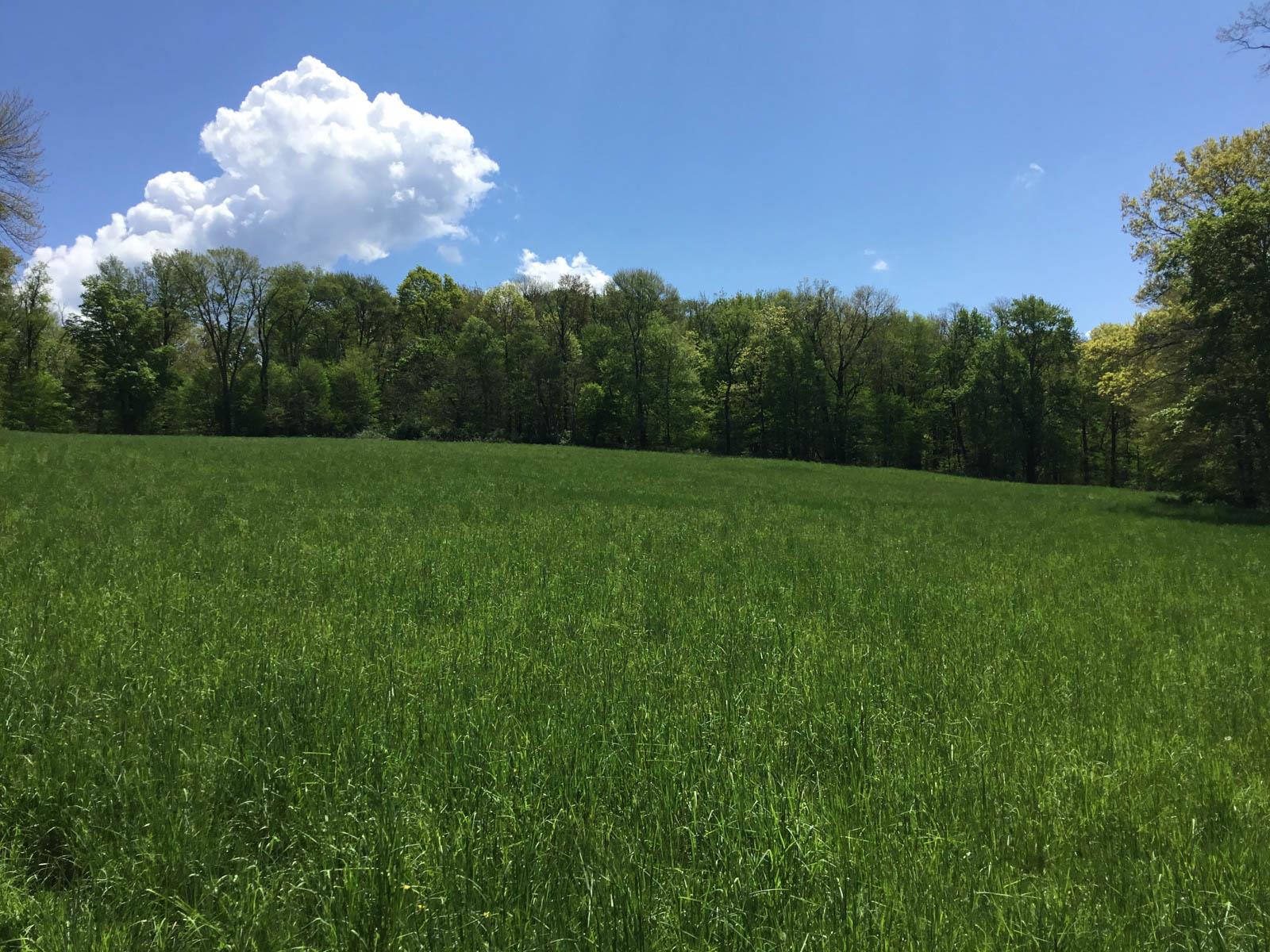 Chestnut Ridge Road, Dover Plains, New York image 5
