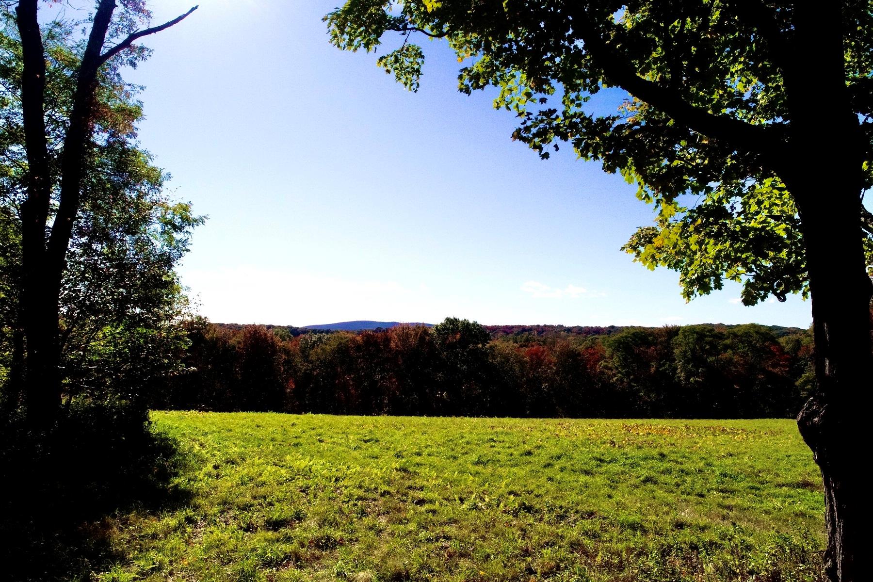 Chestnut Ridge Road, Dover Plains, New York image 14
