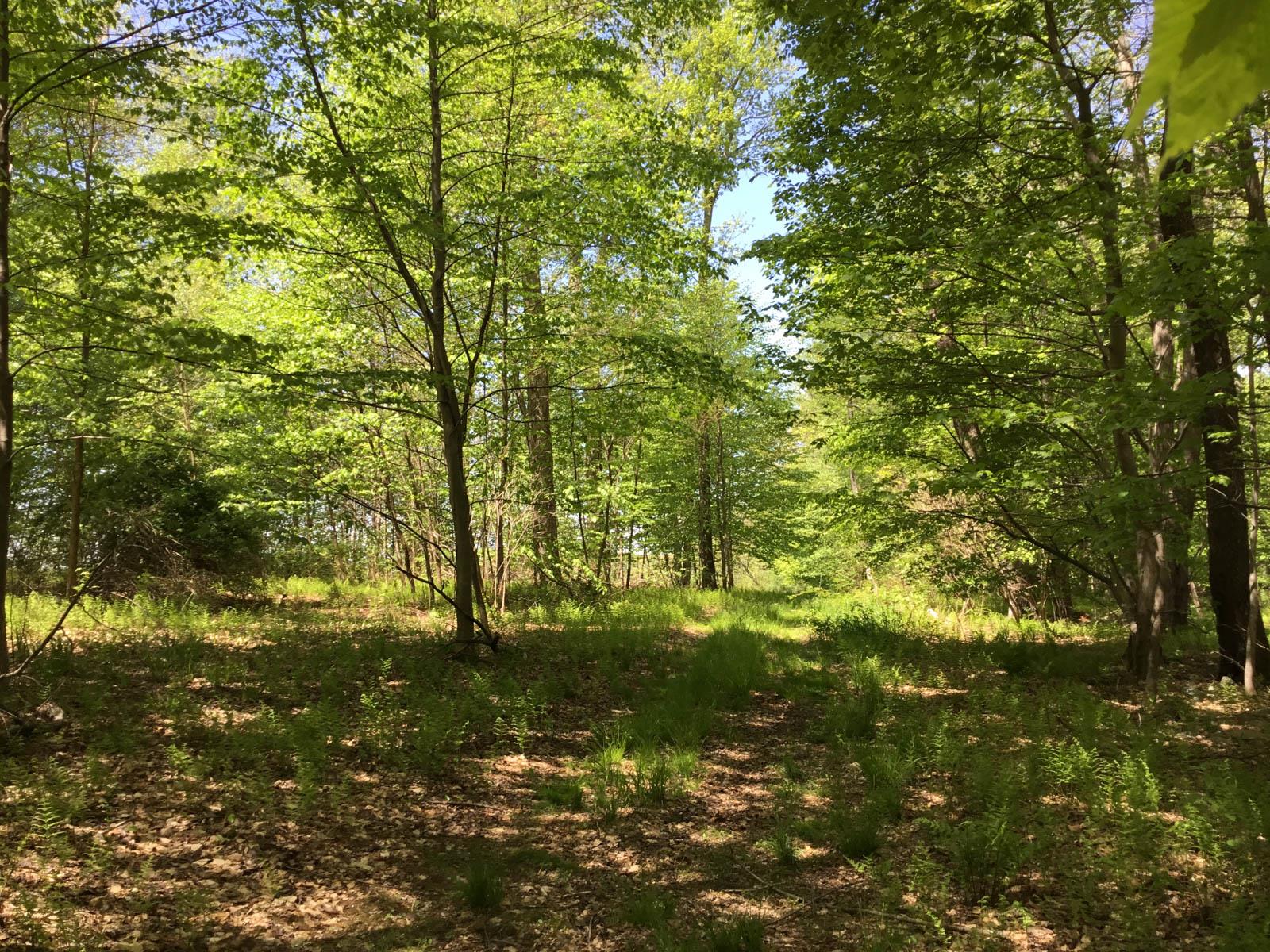Chestnut Ridge Road, Dover Plains, New York image 8