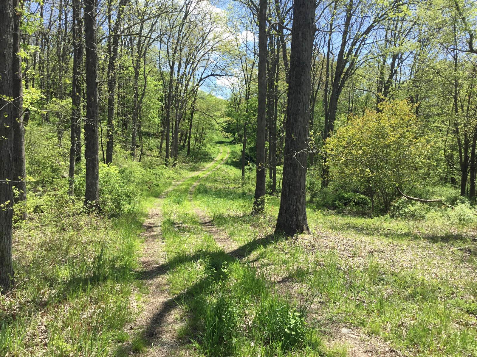Chestnut Ridge Road, Dover Plains, New York image 3