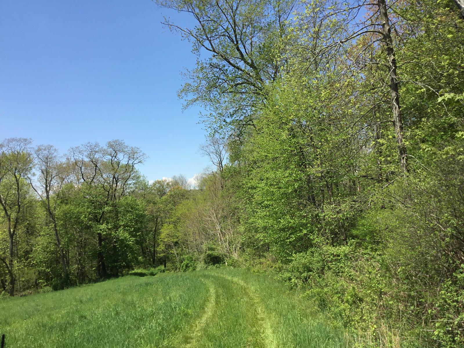 Chestnut Ridge Road, Dover Plains, New York image 7