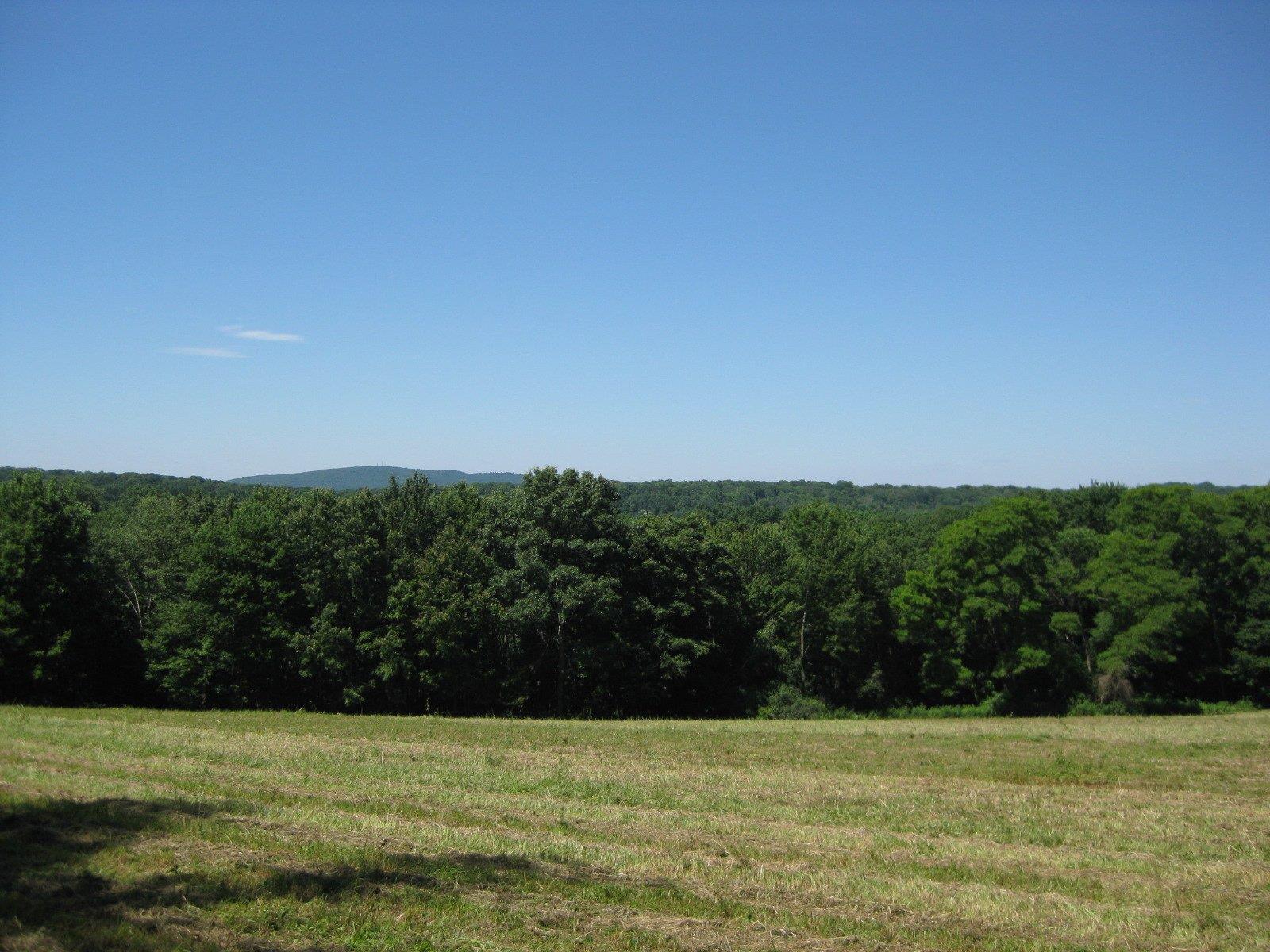 Chestnut Ridge Road, Dover Plains, New York -  - 