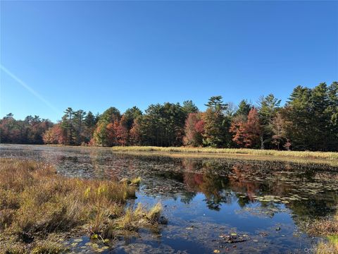 Vacant Land For Sale - LOT 4 Deer Meadow Road<br/> White Lake, NY 12786