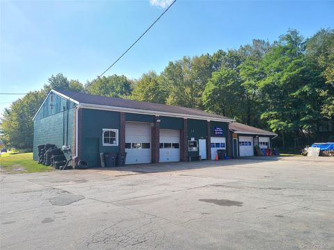 36 Cold Spring Road Monticello NY 12701