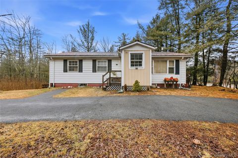 Homes For Sale - 35 Quiat Road<br/> Sullivan County, Mountain Dale, NY 12763