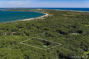 Photo of 36 Pepperidge Lane, Amagansett, NY 11930 (MLS # 1049626)