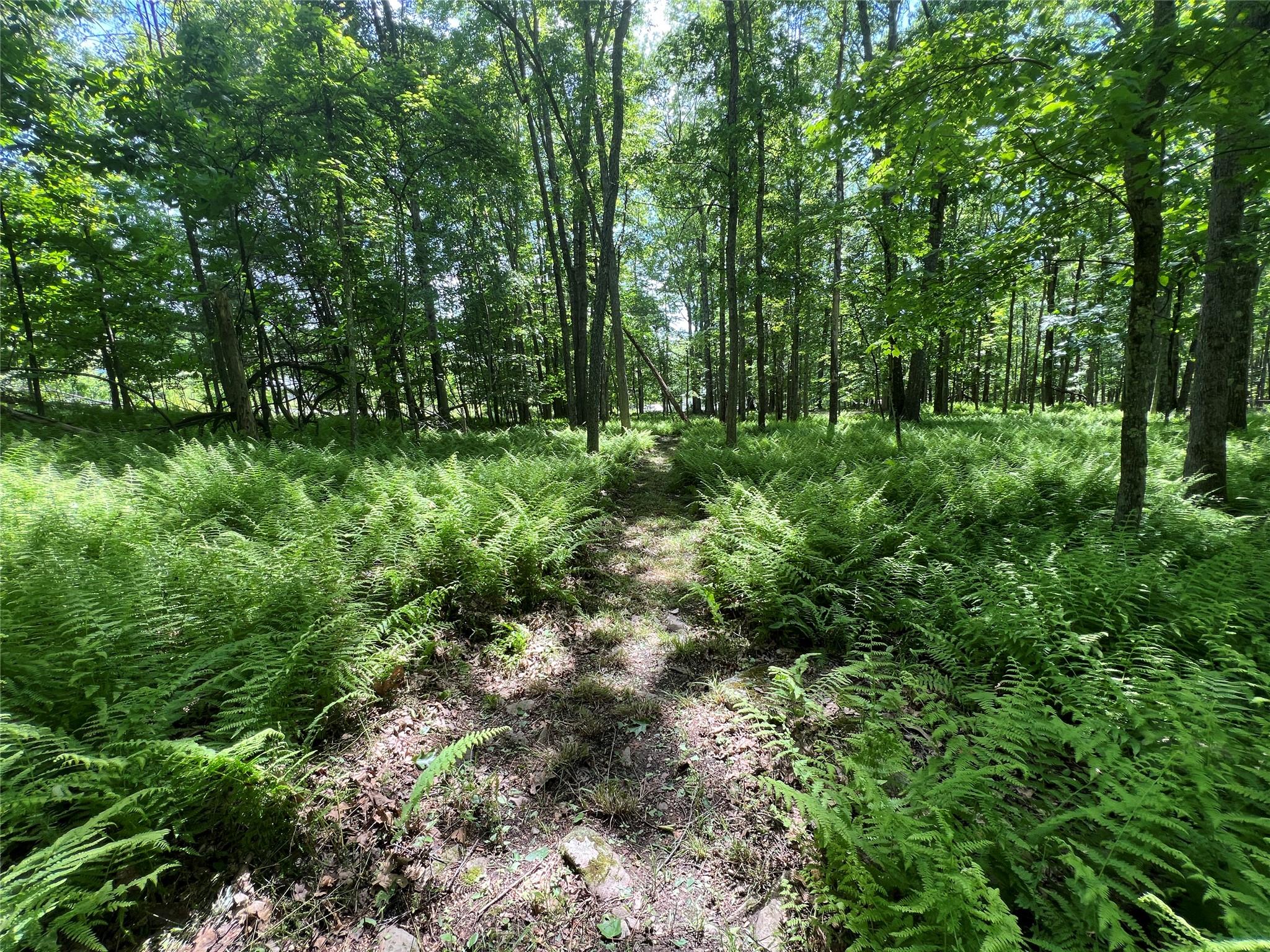 38 Perry Pond Road, Narrowsburg, New York image 24