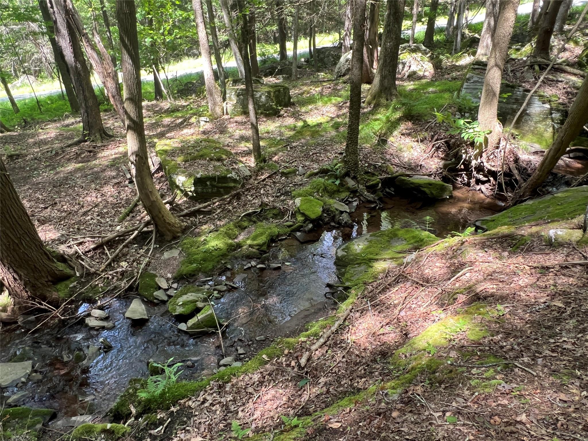 38 Perry Pond Road, Narrowsburg, New York image 25