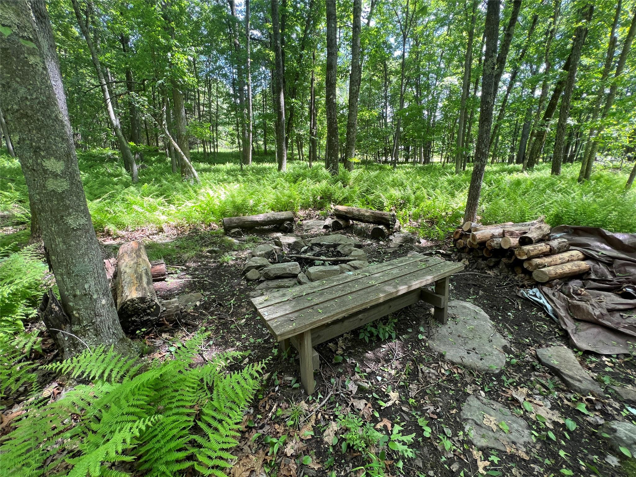 38 Perry Pond Road, Narrowsburg, New York image 27