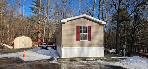 Apartment For Sale - 7965 State Route 52 #LOT 31<br/> Narrowsburg, NY 12764