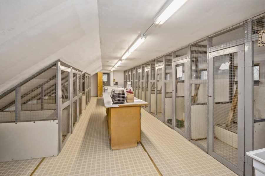 Lagrangeville, New York 12540, United States, ,Residential,Pending,29412