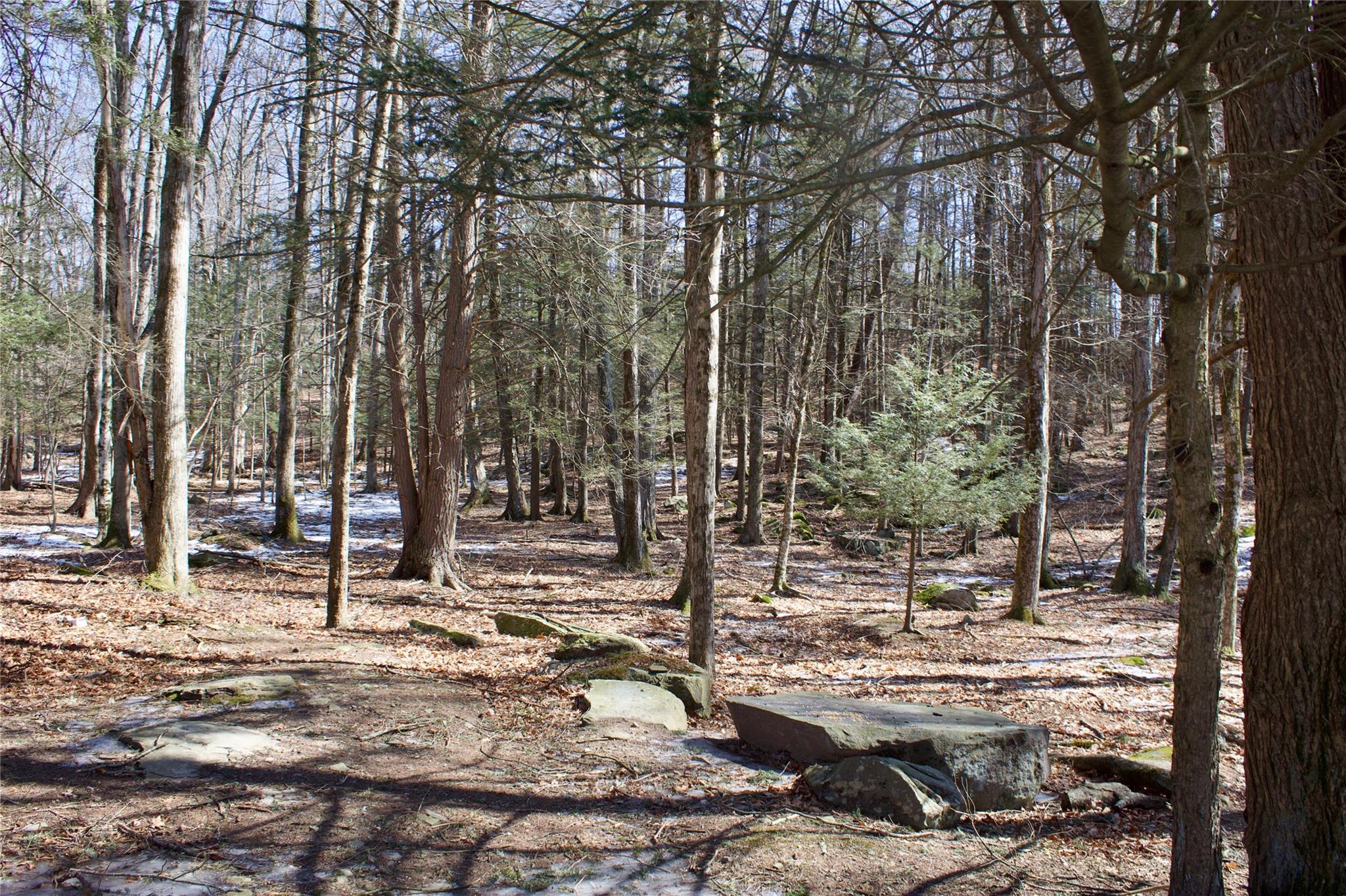 29 Deforest Road, Fallsburg, New York image 11