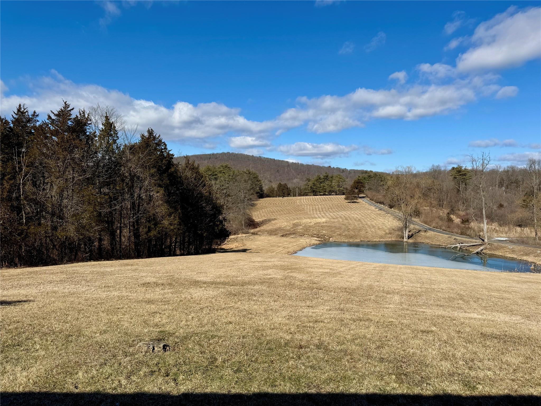 2838 Old Kings Road, Catskill, New York image 26