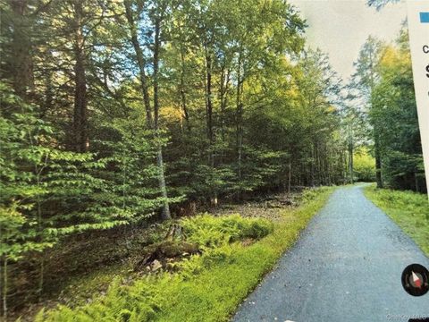 Vacant Land For Sale - Highview Drive<br/> Bethel, NY 12720