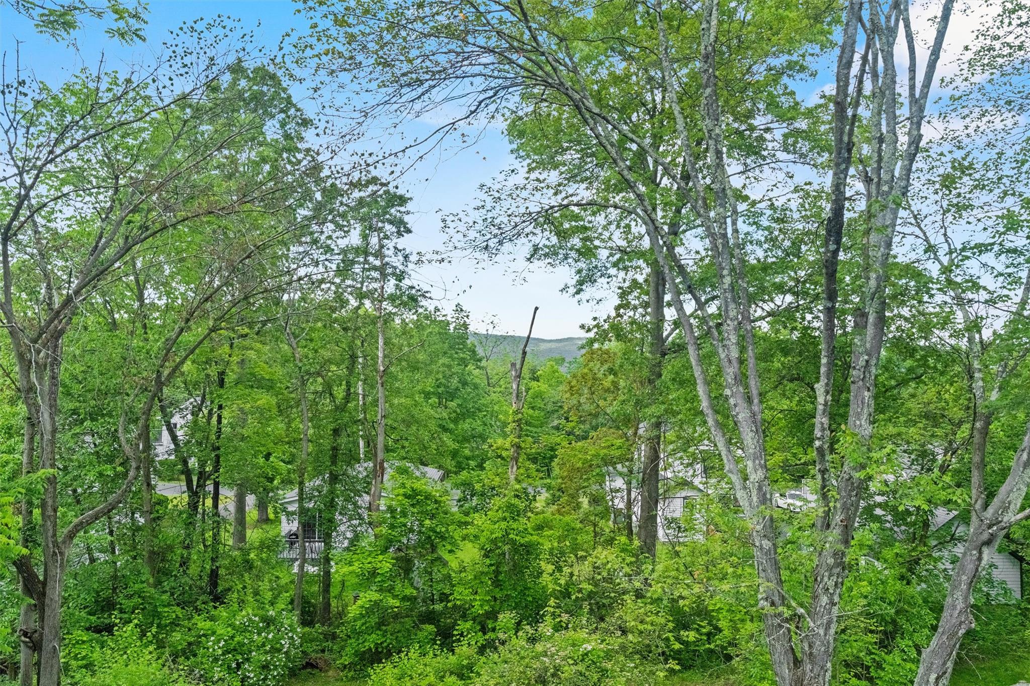 5 Fairview Avenue, New Paltz, New York image 35