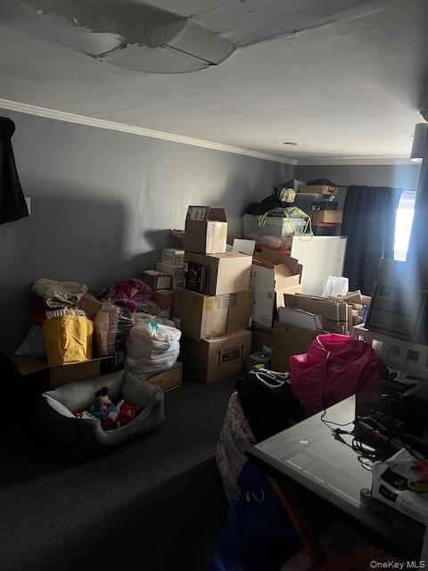 66 Lee Avenue First Floor