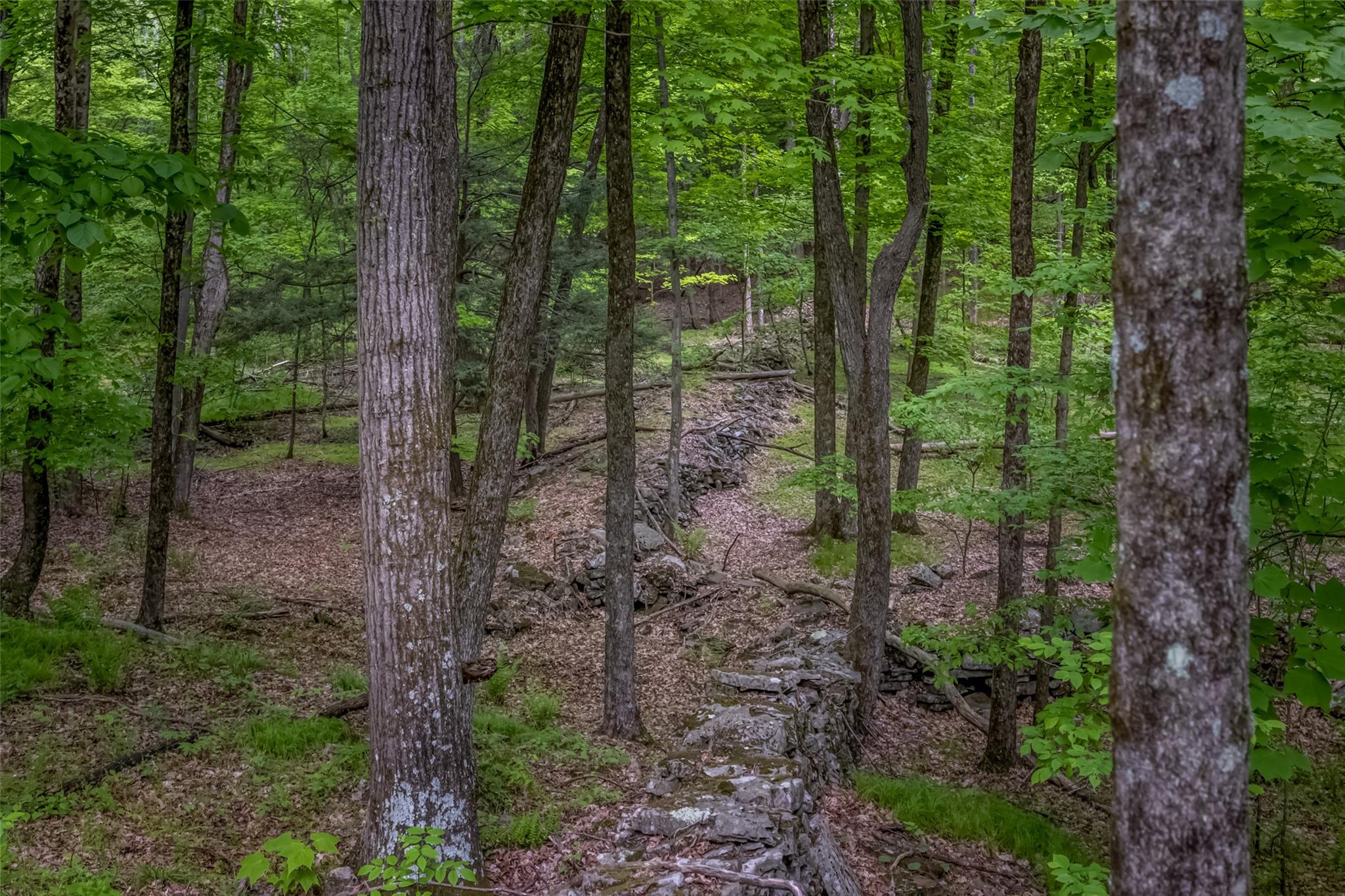 Mossy Hill Road Road, Catskill, New York image 6