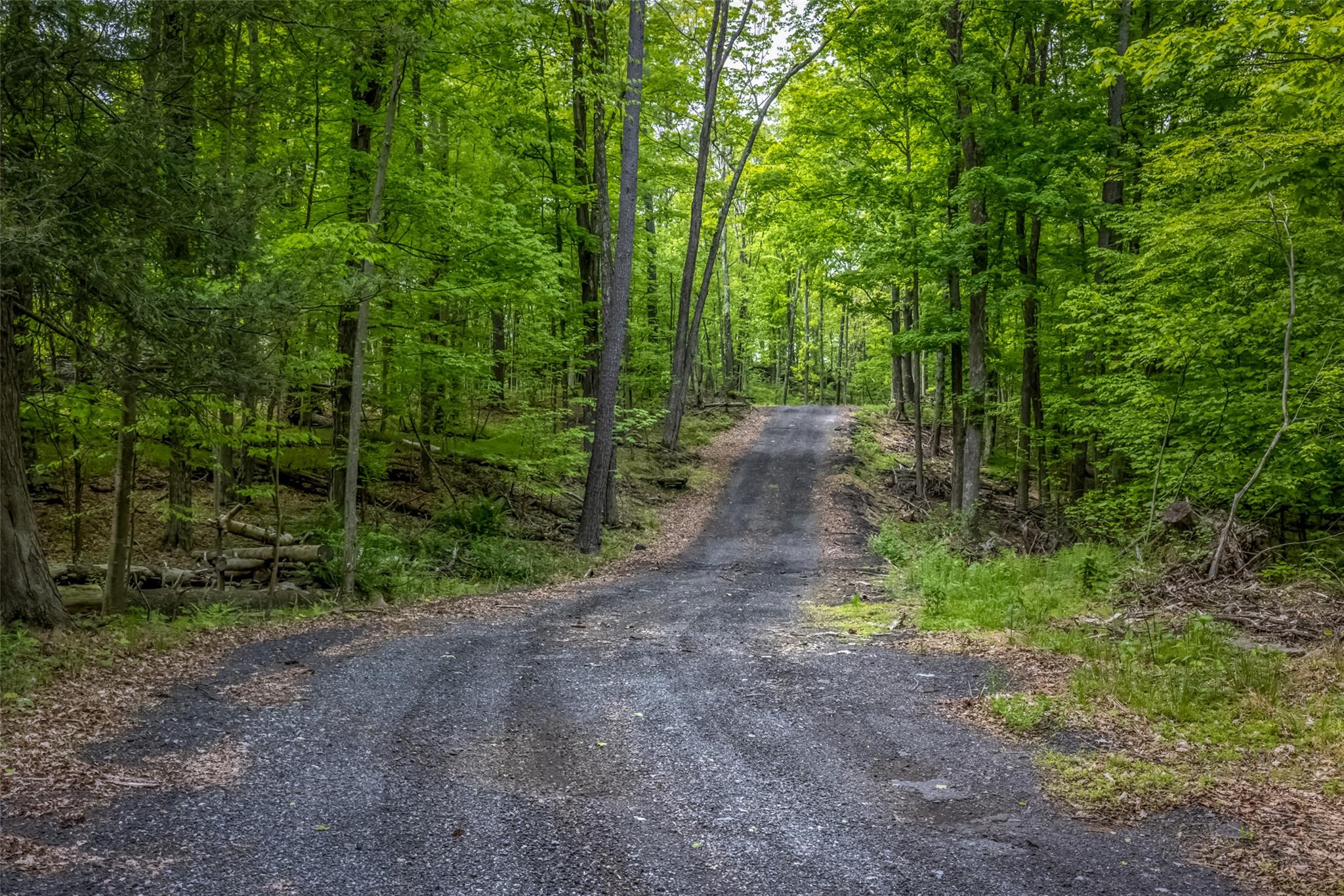 Mossy Hill Road Road, Catskill, New York image 2