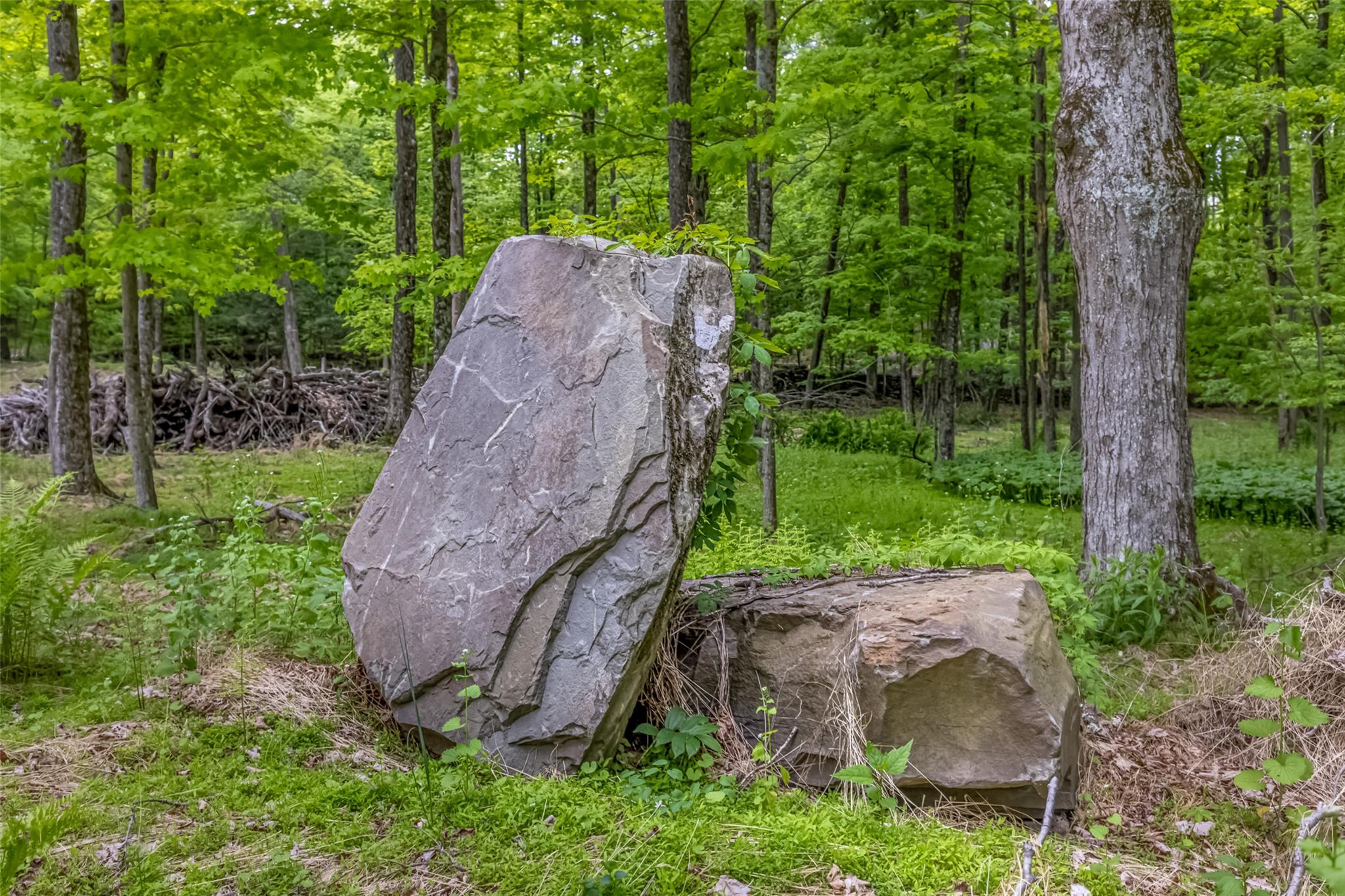 Mossy Hill Road Road, Catskill, New York image 8