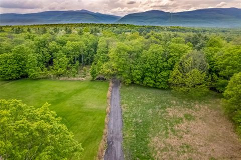 Vacant Land For Sale - Mossy Hill Road Road<br/> Catskill, NY 12414