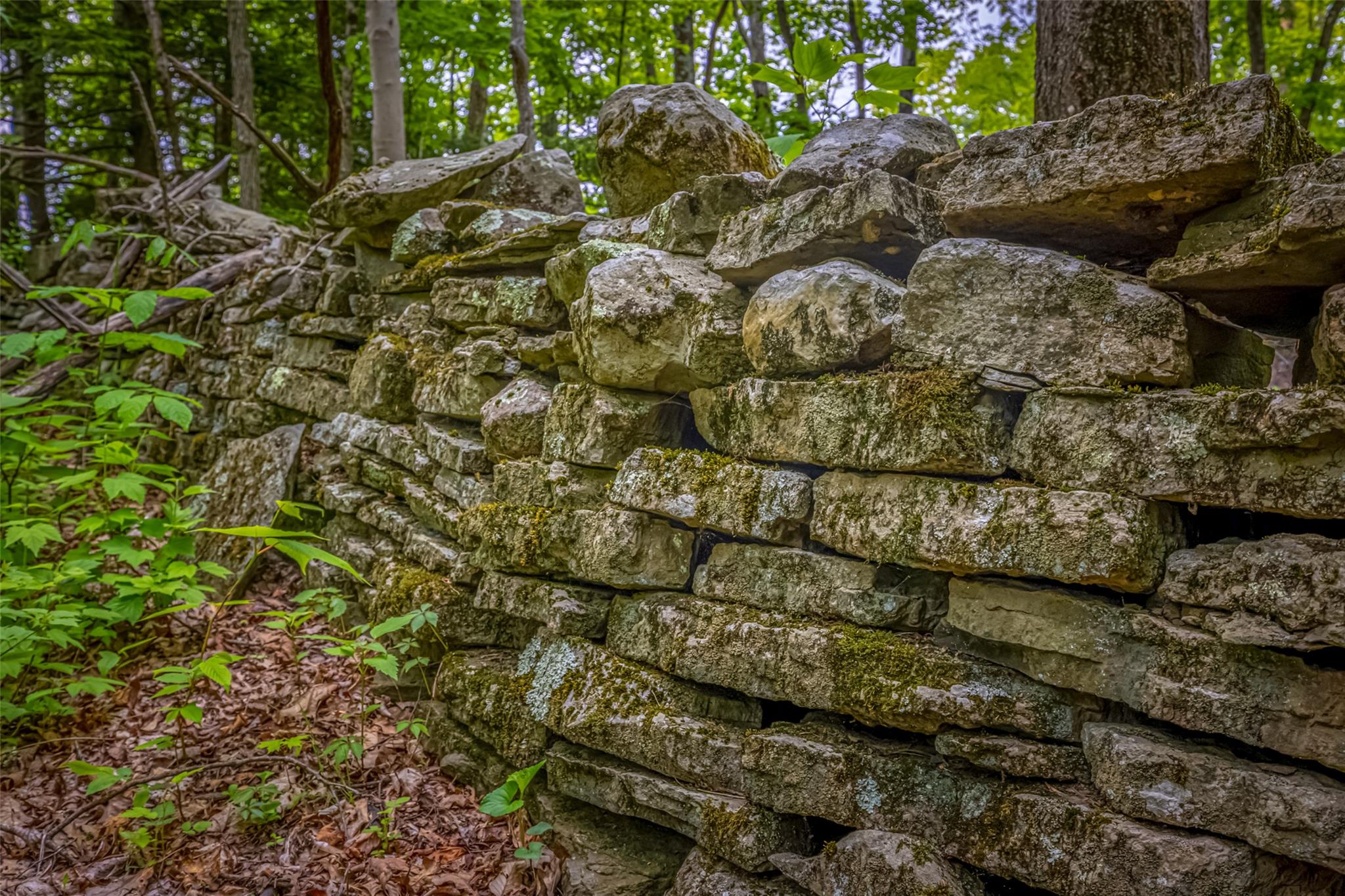Mossy Hill Road Road, Catskill, New York image 5
