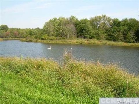 Vacant Land For Sale - 620 Bean River Road<br/> Millerton, NY 12567