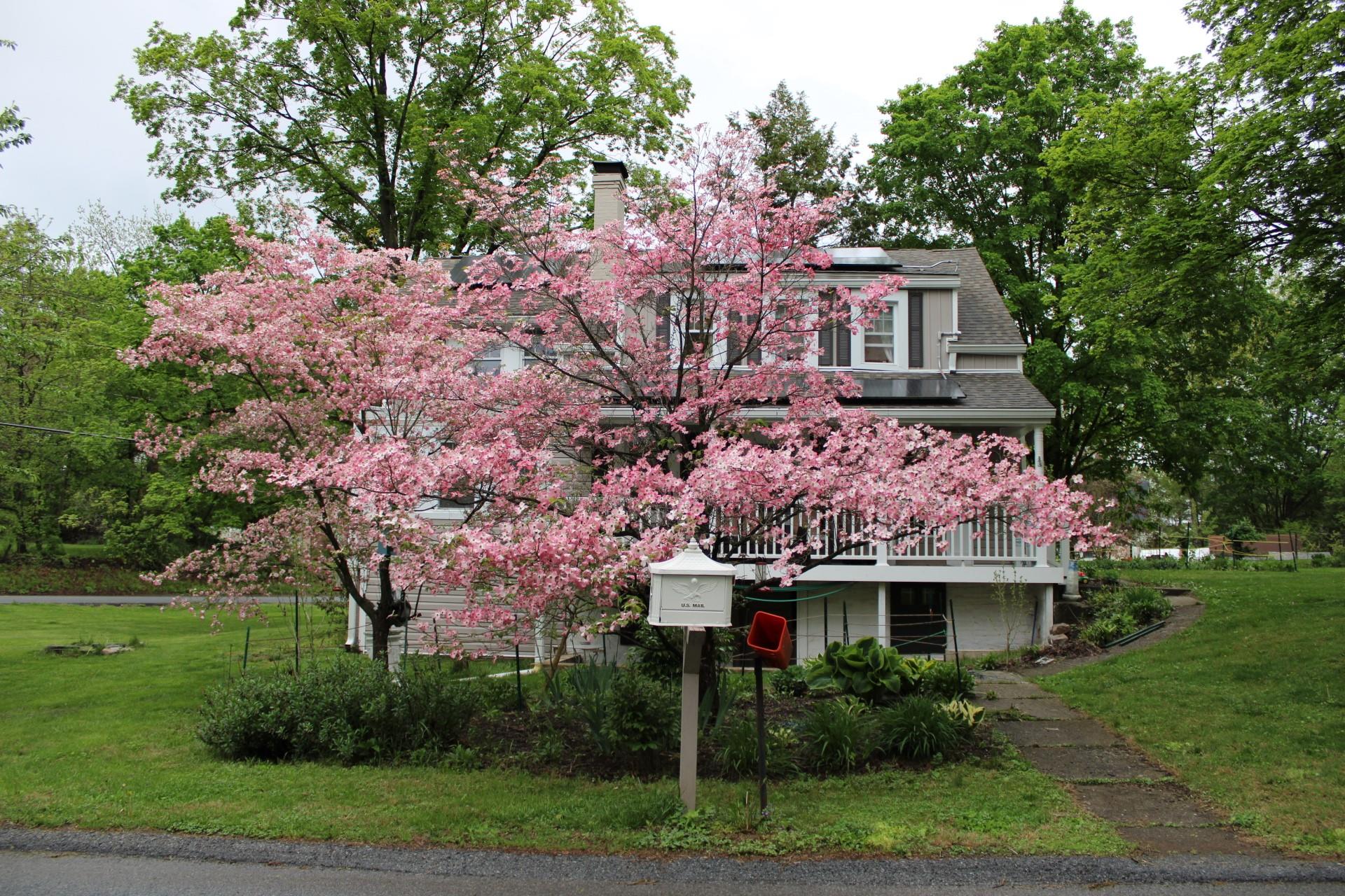 21 Overlook Road, Poughkeepsie, New York image 1