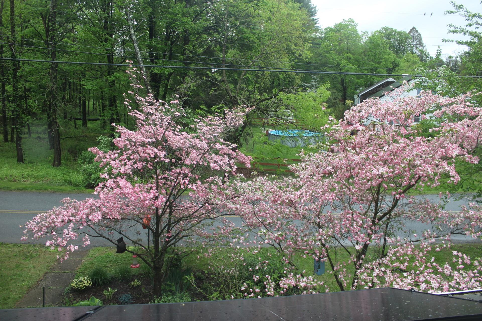 21 Overlook Road, Poughkeepsie, New York image 27