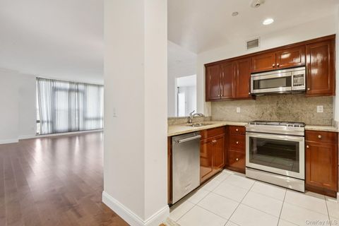 10 City Place 11G White Plains NY 10601