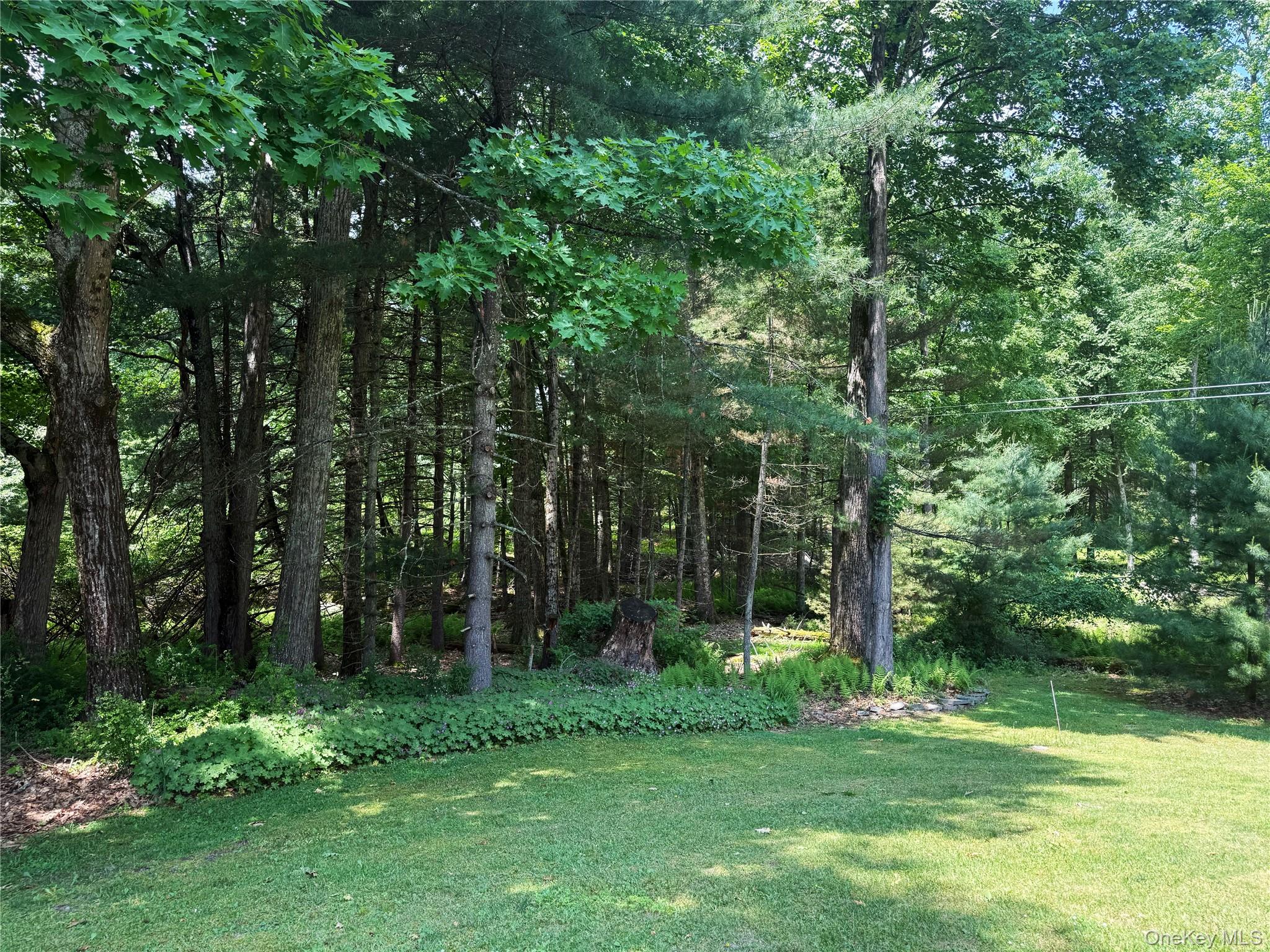1222 Sackett Lake Road
