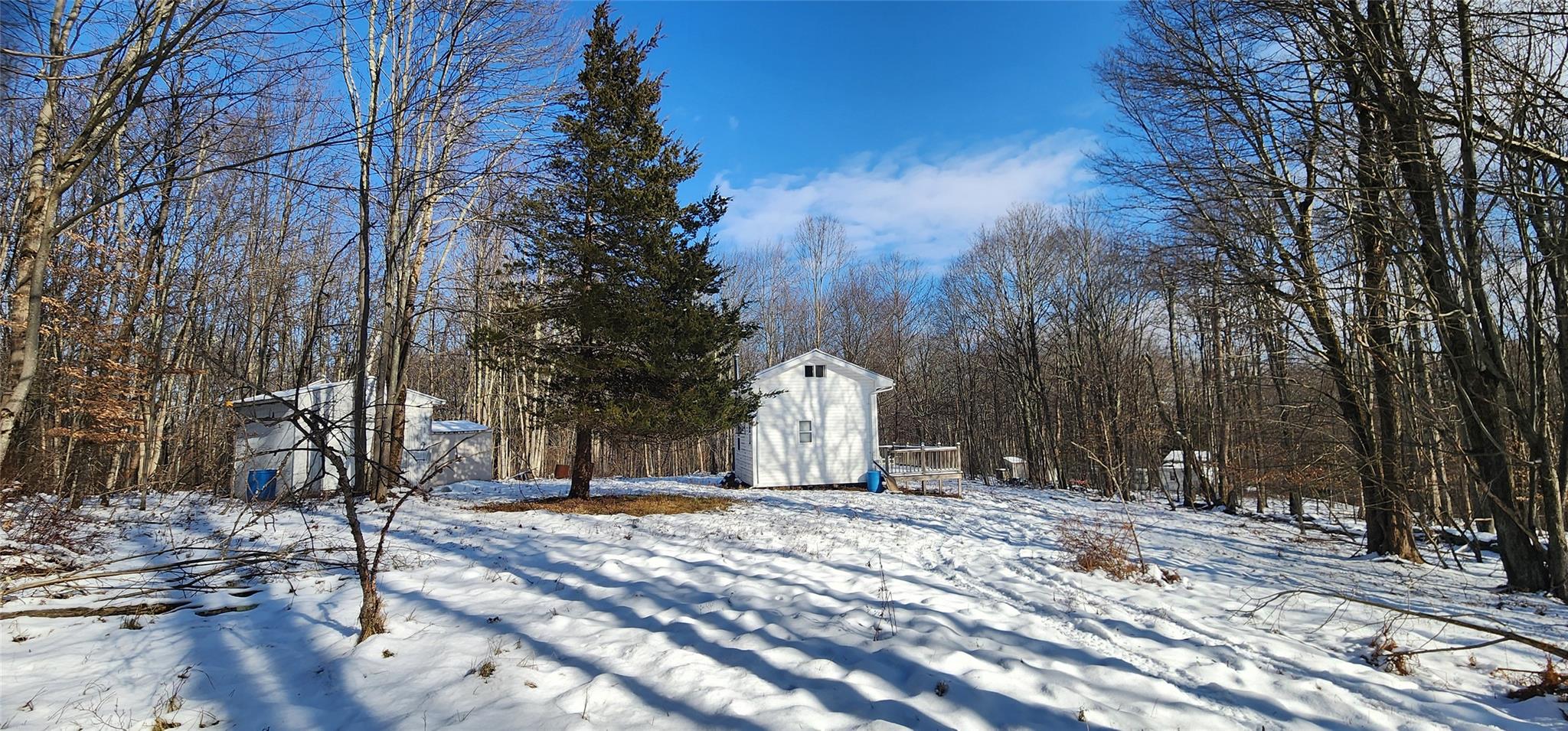 1433 County Road  56 Road, Mountain Dale, New York image 9