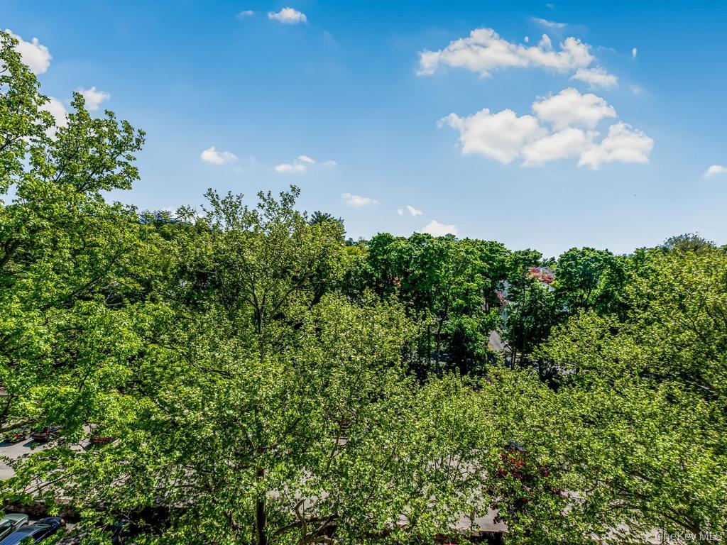250 Garth Rd 5J3