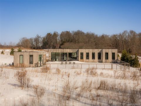 Homes For Sale - 49 Fox Lane<br/> Tivoli, NY 12583