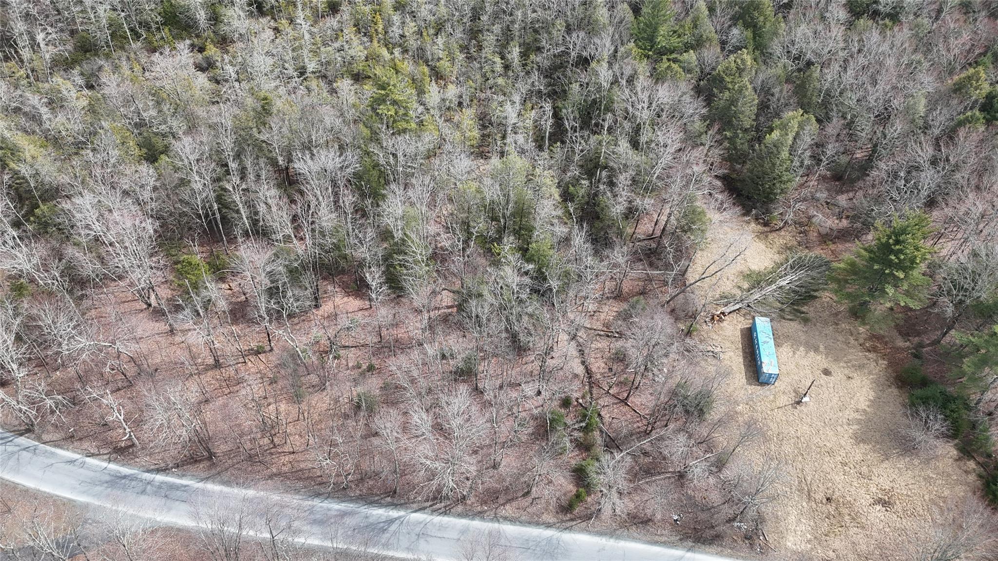 Hasbrouck A Road, Fallsburg, Florida image 3