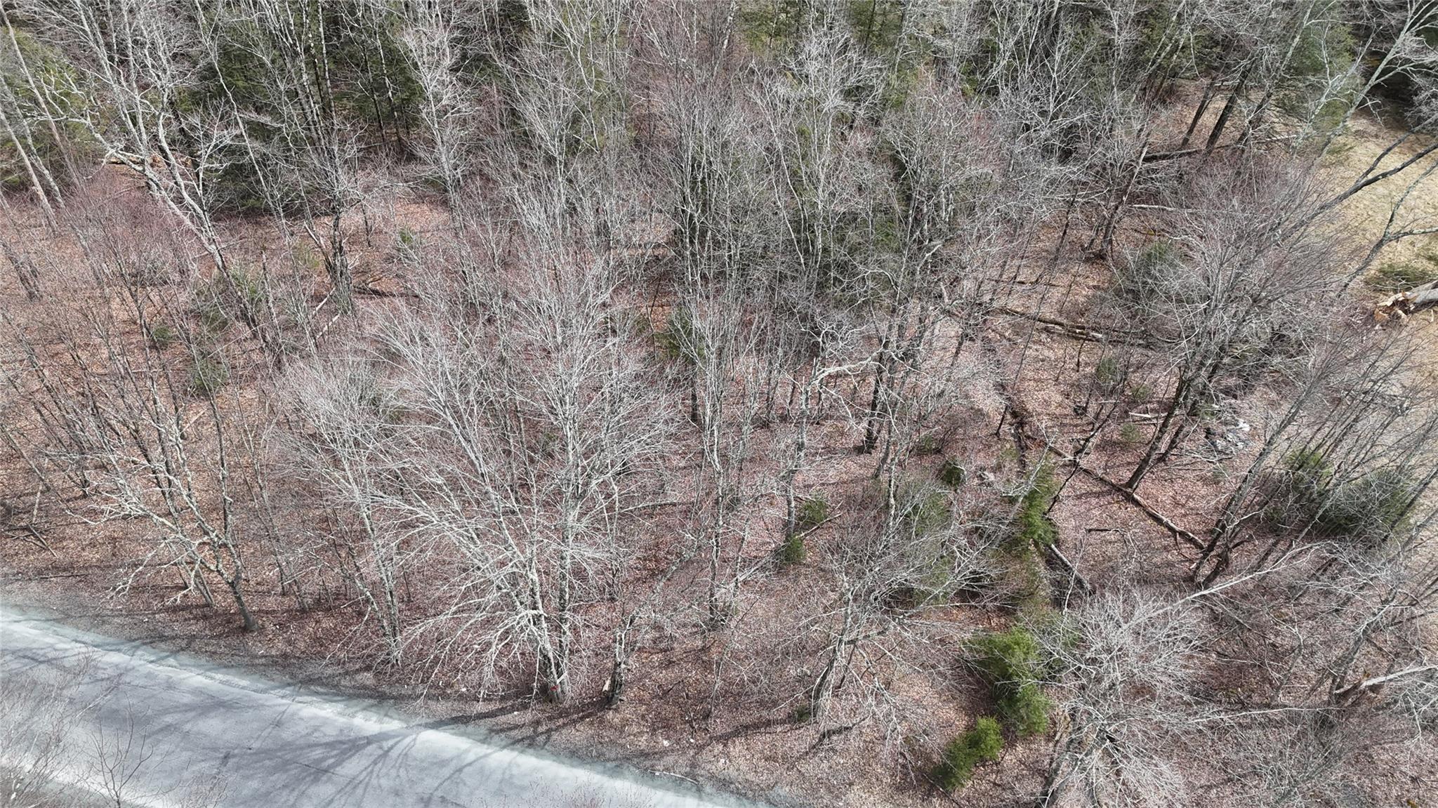 Hasbrouck A Road, Fallsburg, Florida image 5