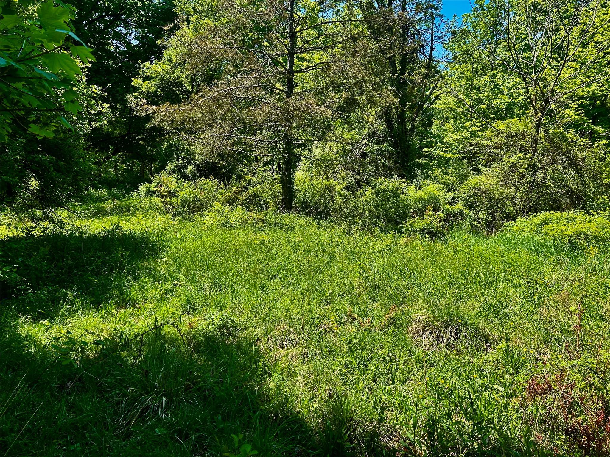 North Creek Road, Clinton Corners, New York image 2