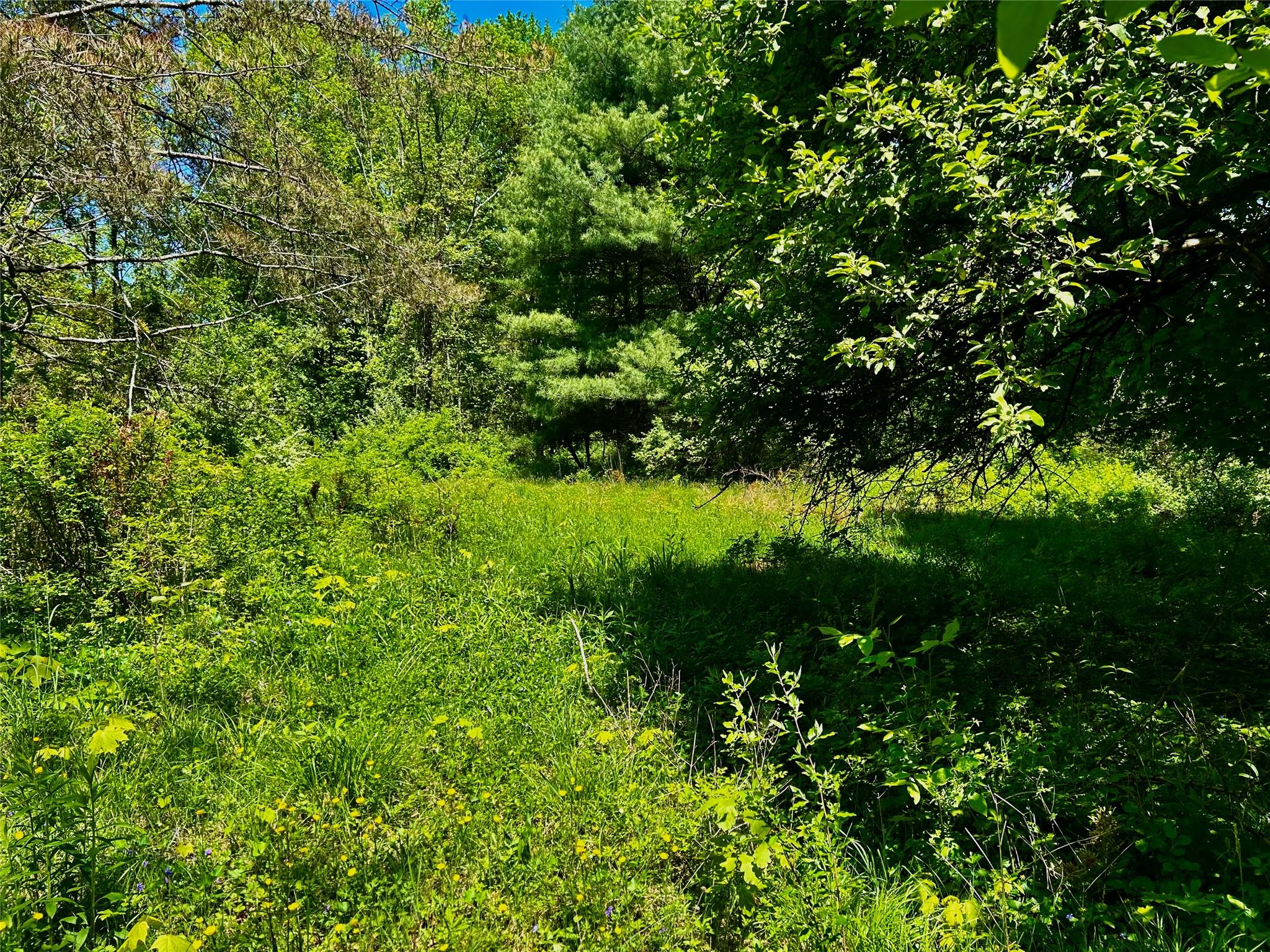 North Creek Road, Clinton Corners, New York image 8