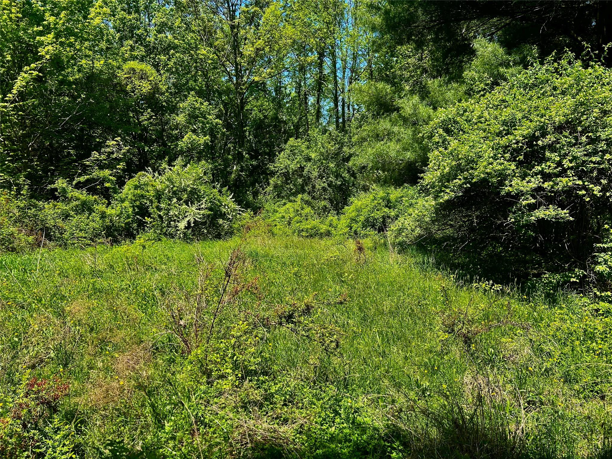 North Creek Road, Clinton Corners, New York image 7