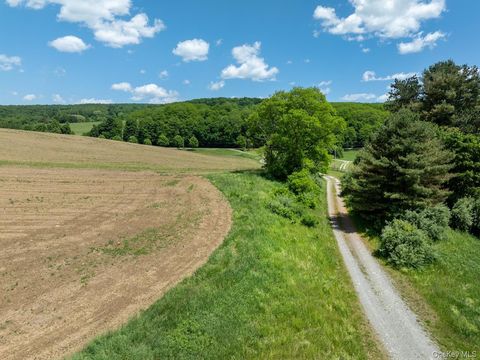 Vacant Land For Sale - 1533-1539 Route 83<br/> Millerton, NY 12567