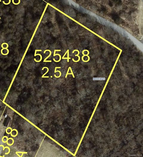 Vacant Land For Sale - Town Center Boulevard<br/> Poughquag, NY 12533