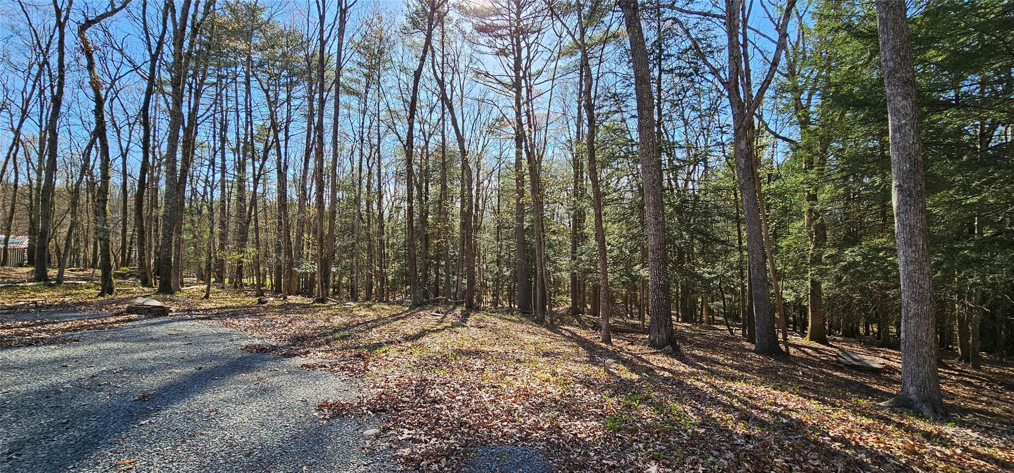Lot 85 Perry Pond Road, Narrowsburg, New York image 11