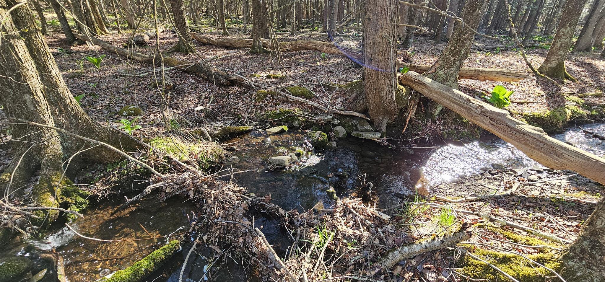 Lot 85 Perry Pond Road, Narrowsburg, New York image 17
